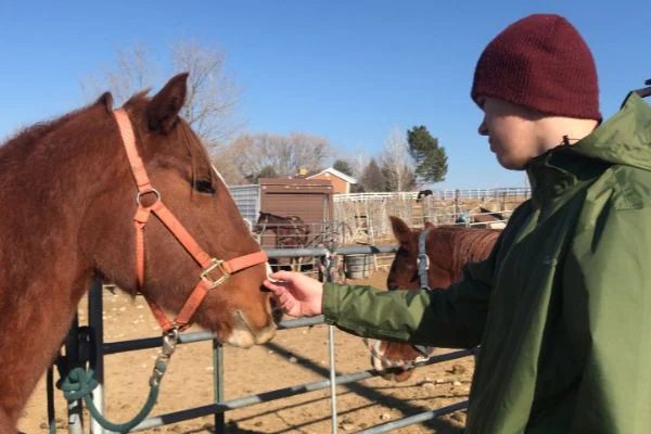 HorseTherapy