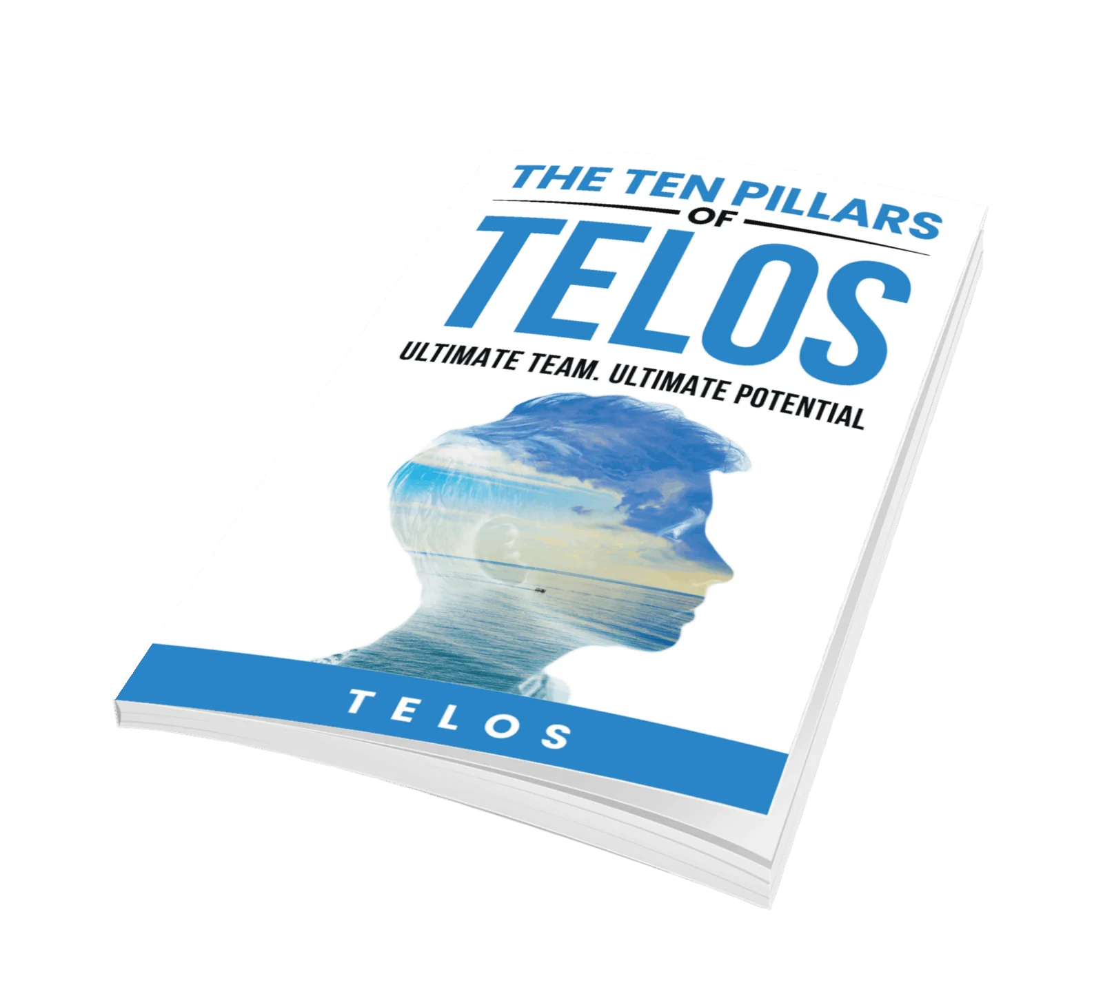 See those 10 pillars book